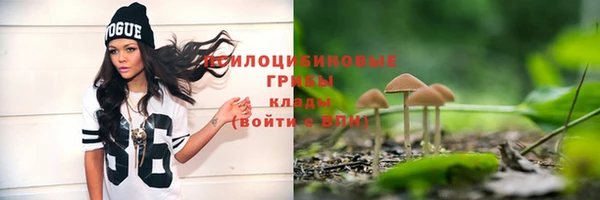 гидропоника Беломорск