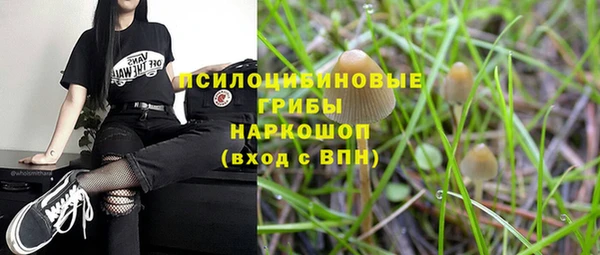 мяу мяу мука Белоозёрский